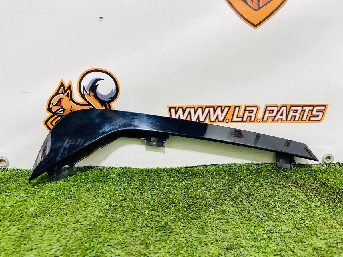 LR148864 Rear Right Door Molding Used Land Rover Discovery 5 L462 (2017-)